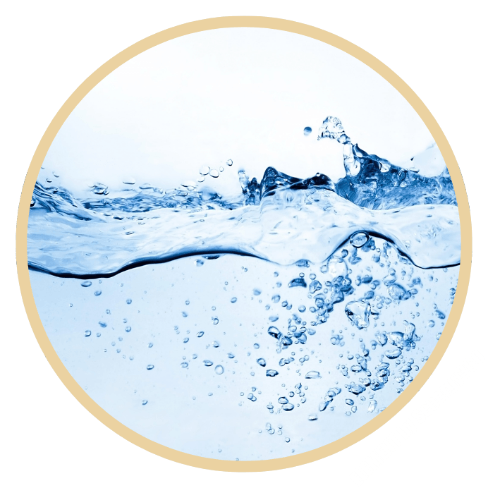 Water Quality