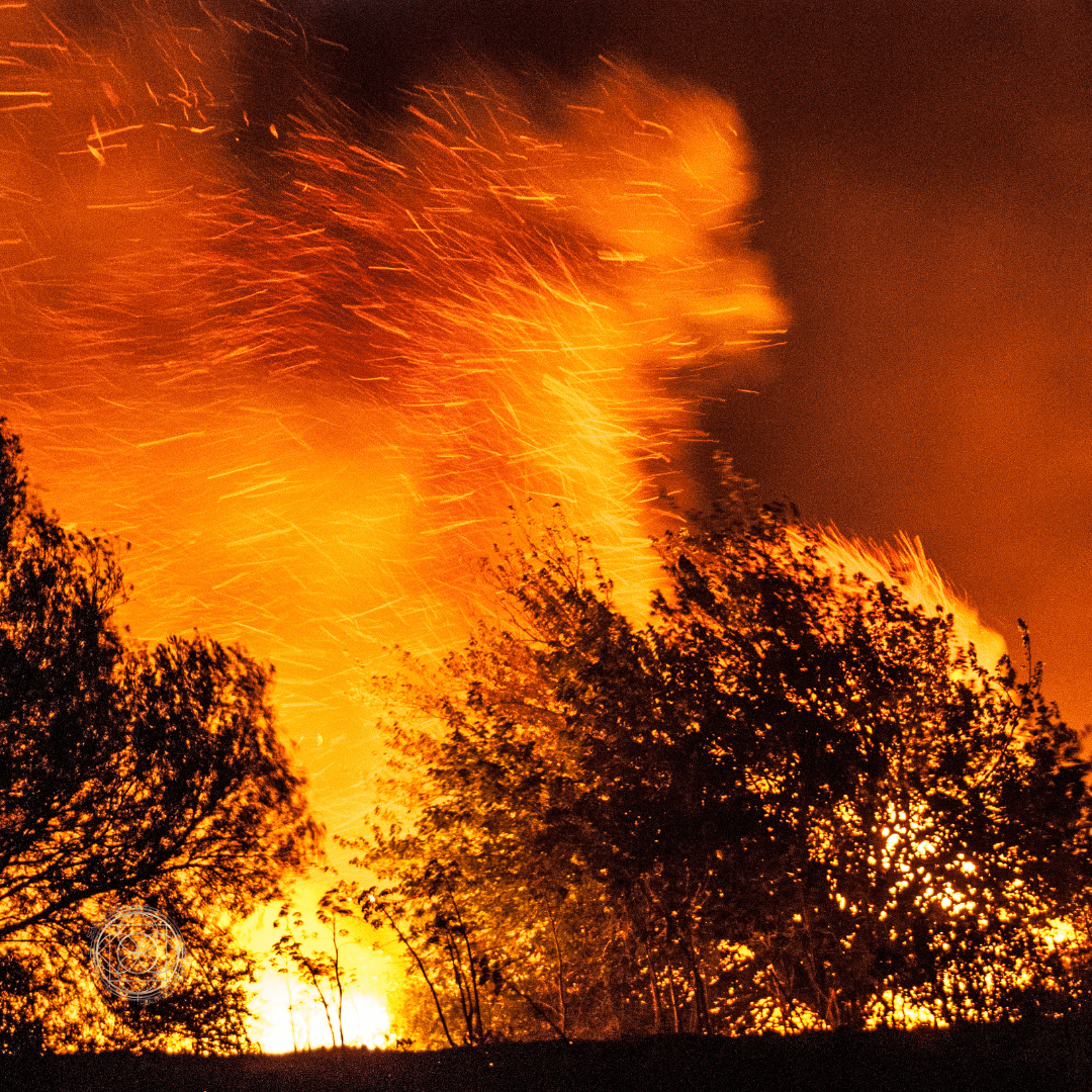 Creating a Healthy Home: Complying with California's New Fire Codes for Safety and Well-Being