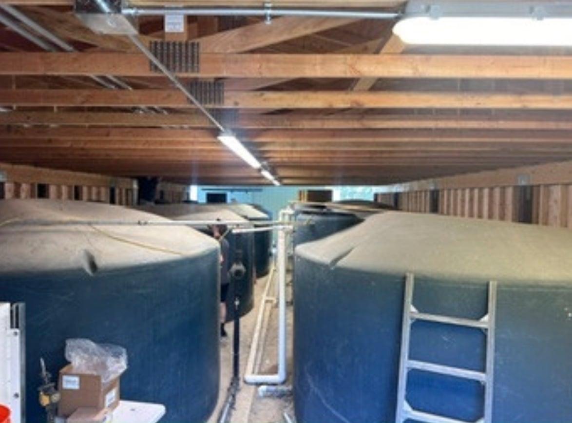 Multiple large water storage tanks under a wood-framed roof