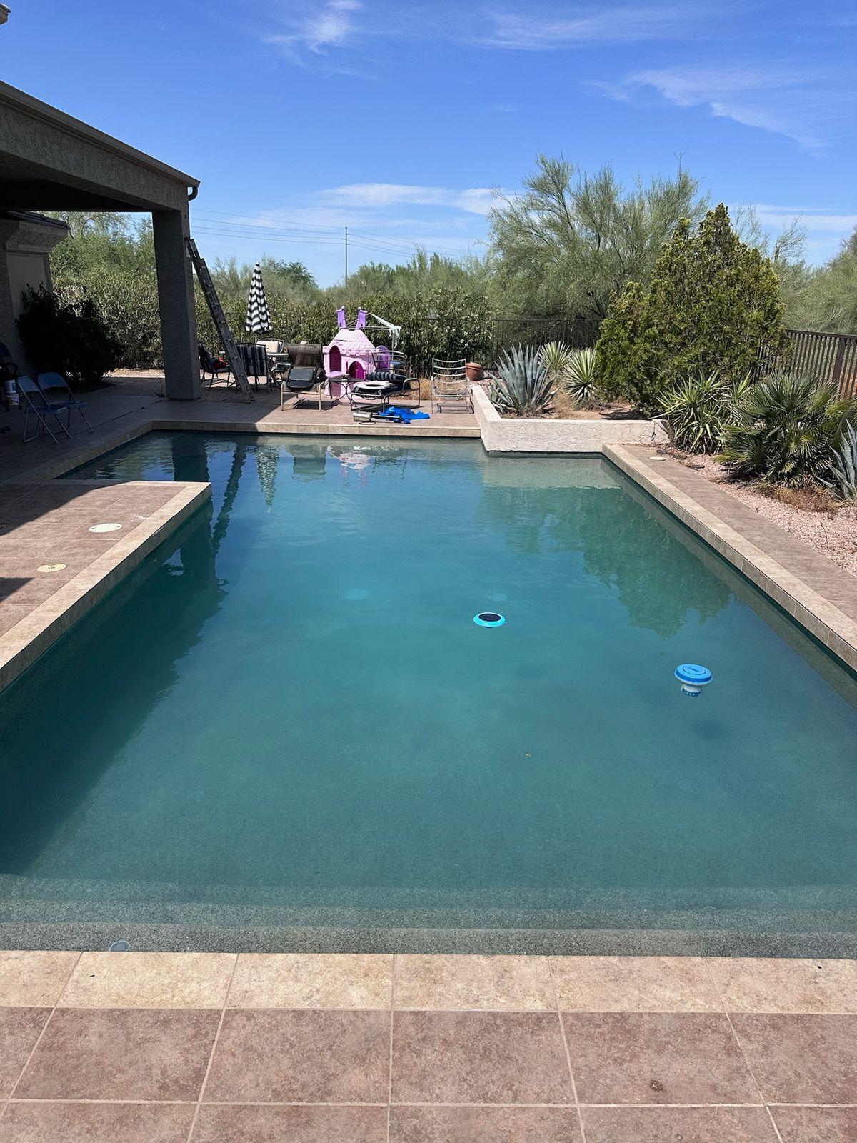 Backyard swimming pool in the desert
