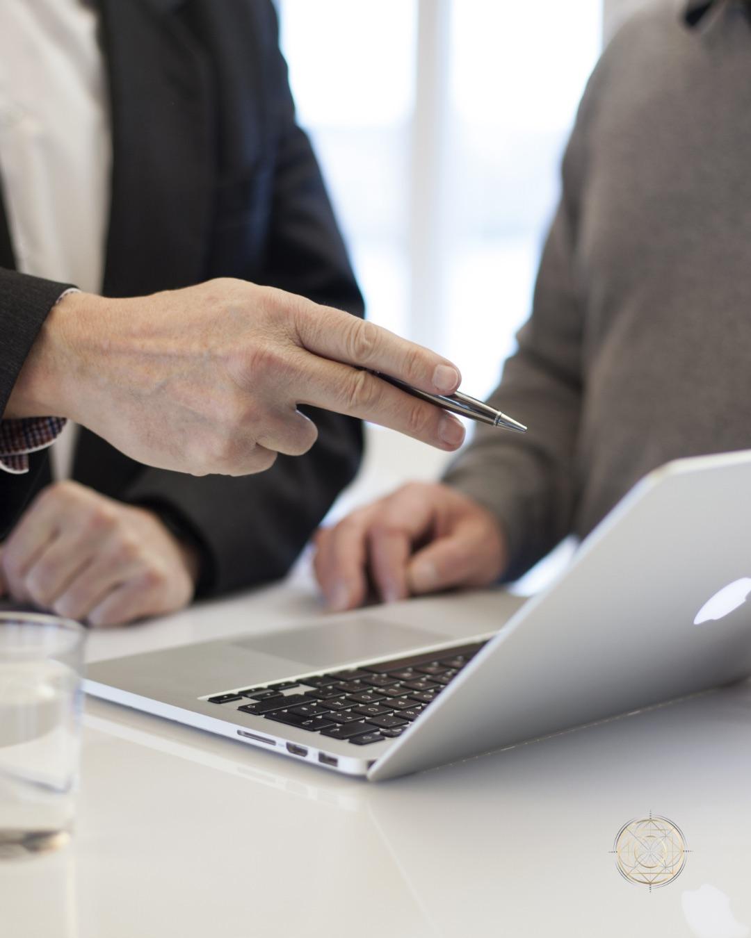 SENERGY360 building biology consulting: reviewing a plan together on a laptop