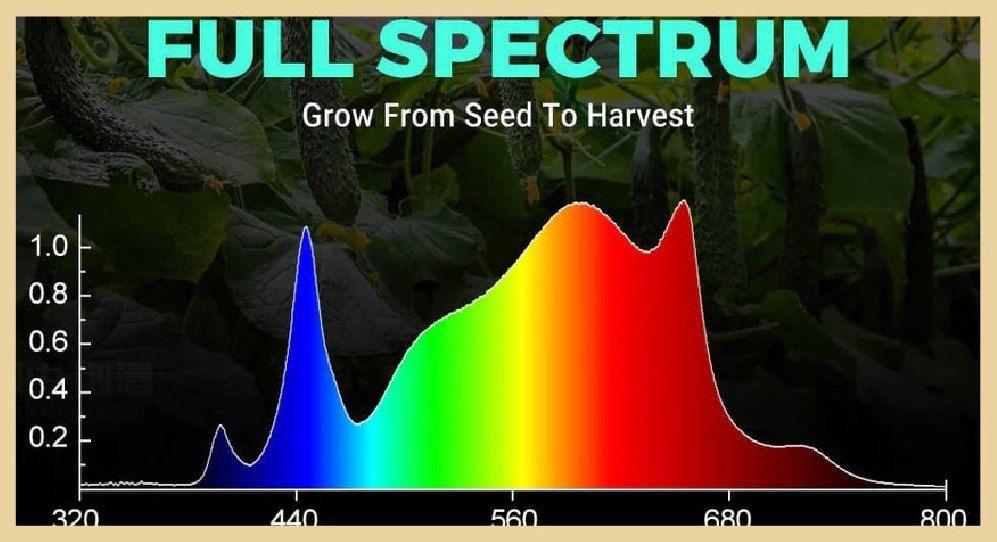 Full-spectrum light chart from dawn to harvest