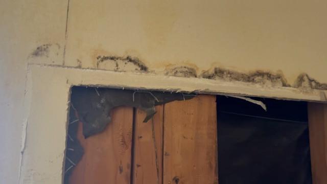 Dark growth along the cut edge of drywall above exposed wood
