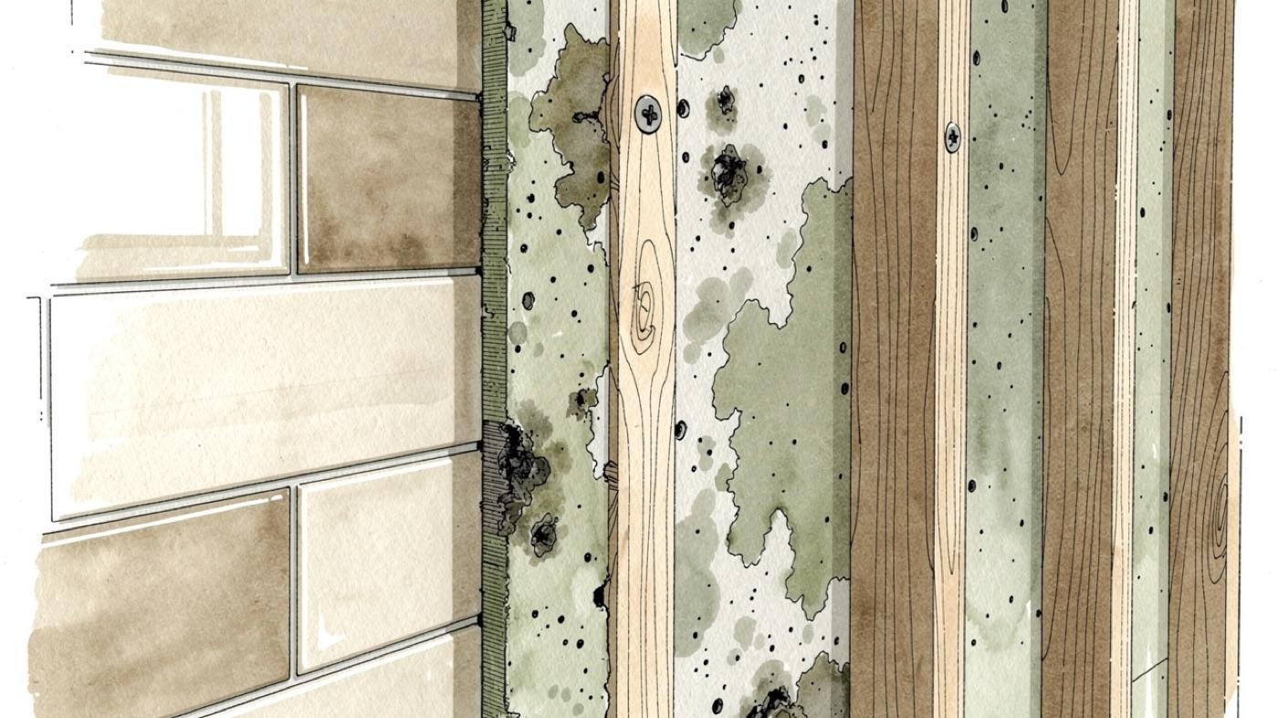 Cross section of a bathroom wall with a paper-faced drywall panel showing dark growth on its back side behind the tile